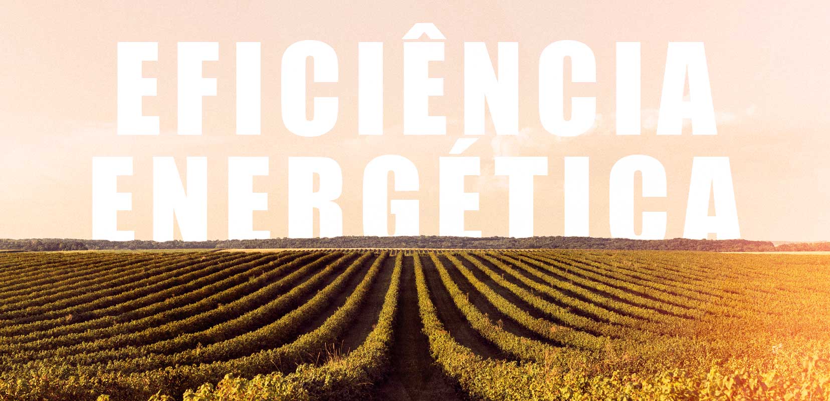 Preparando o agronegócio para a safra 2025/26: o papel da MF Capacitores